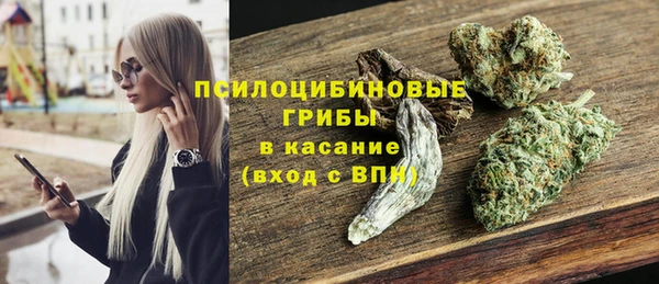ешки Карпинск