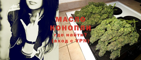 дмт Каменка