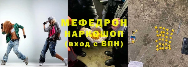 дмт Каменка