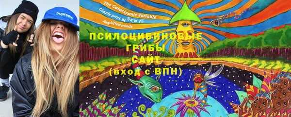 ешки Карпинск